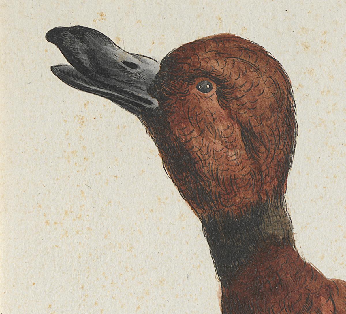 1973.0578.004 Print, Detail