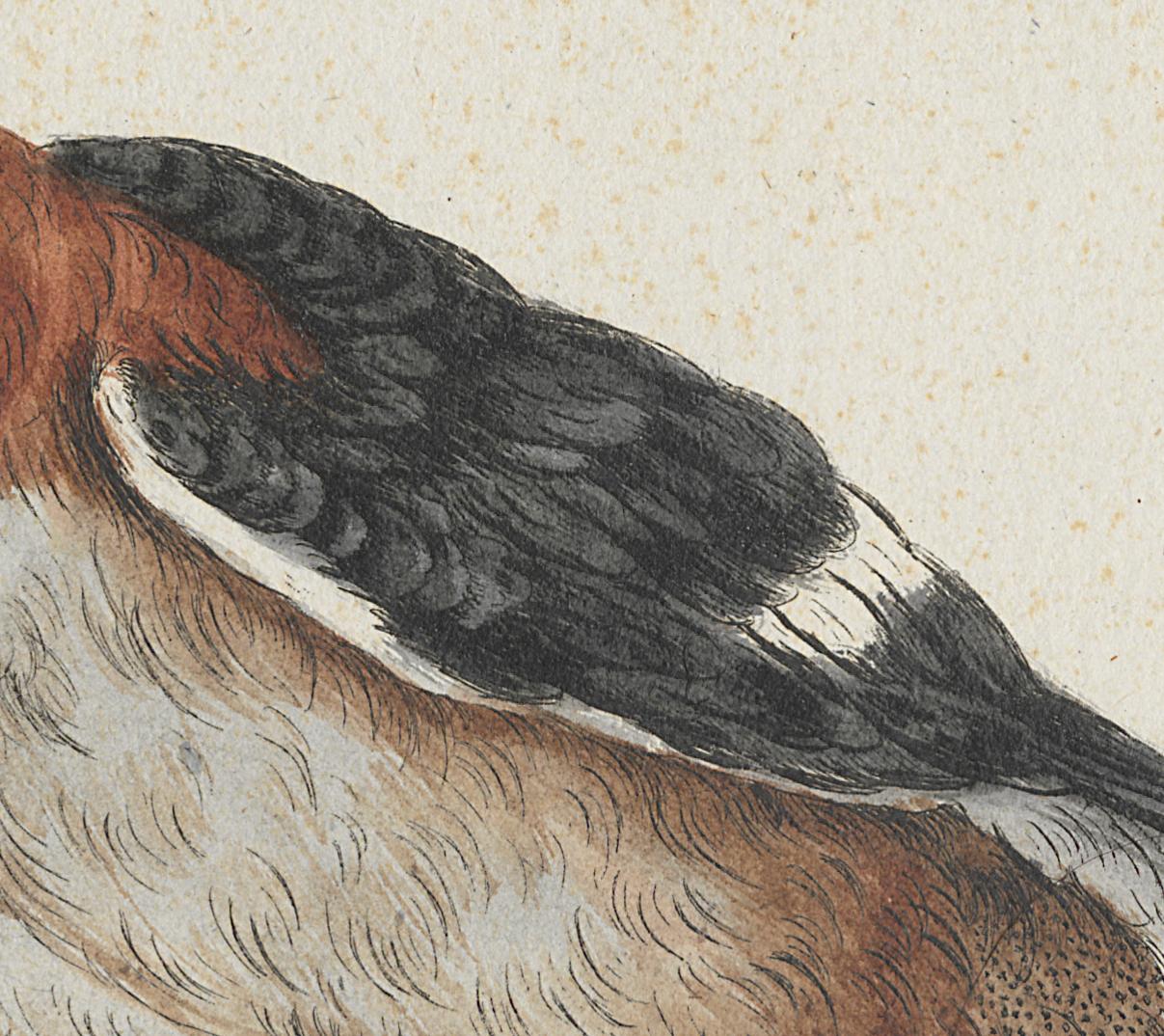 1973.0578.004 Print, Detail 2