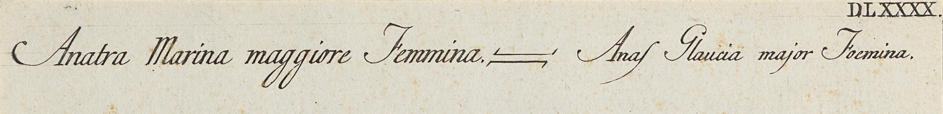1973.0578.004 Print, Detail 3