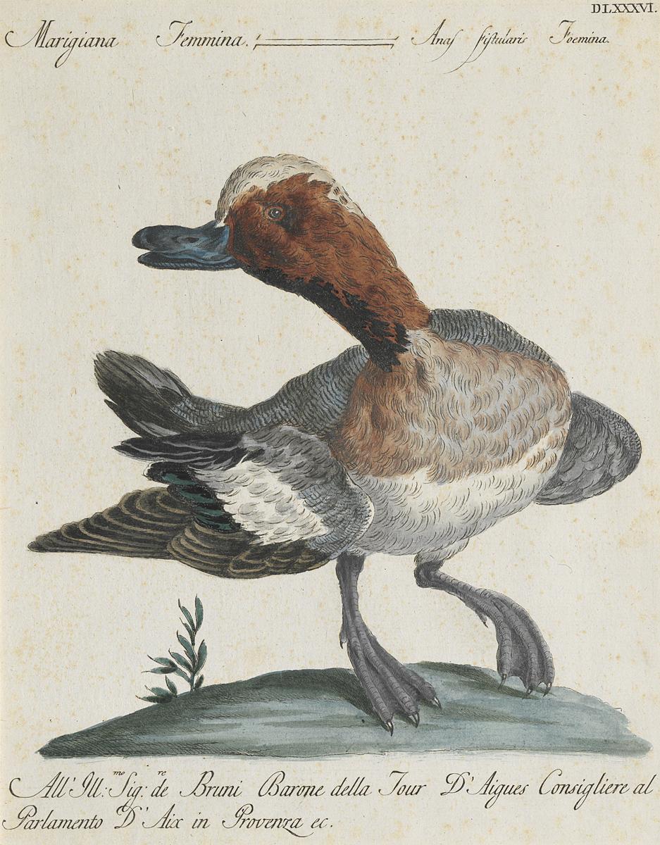 1973.0578.005 Print, View 2