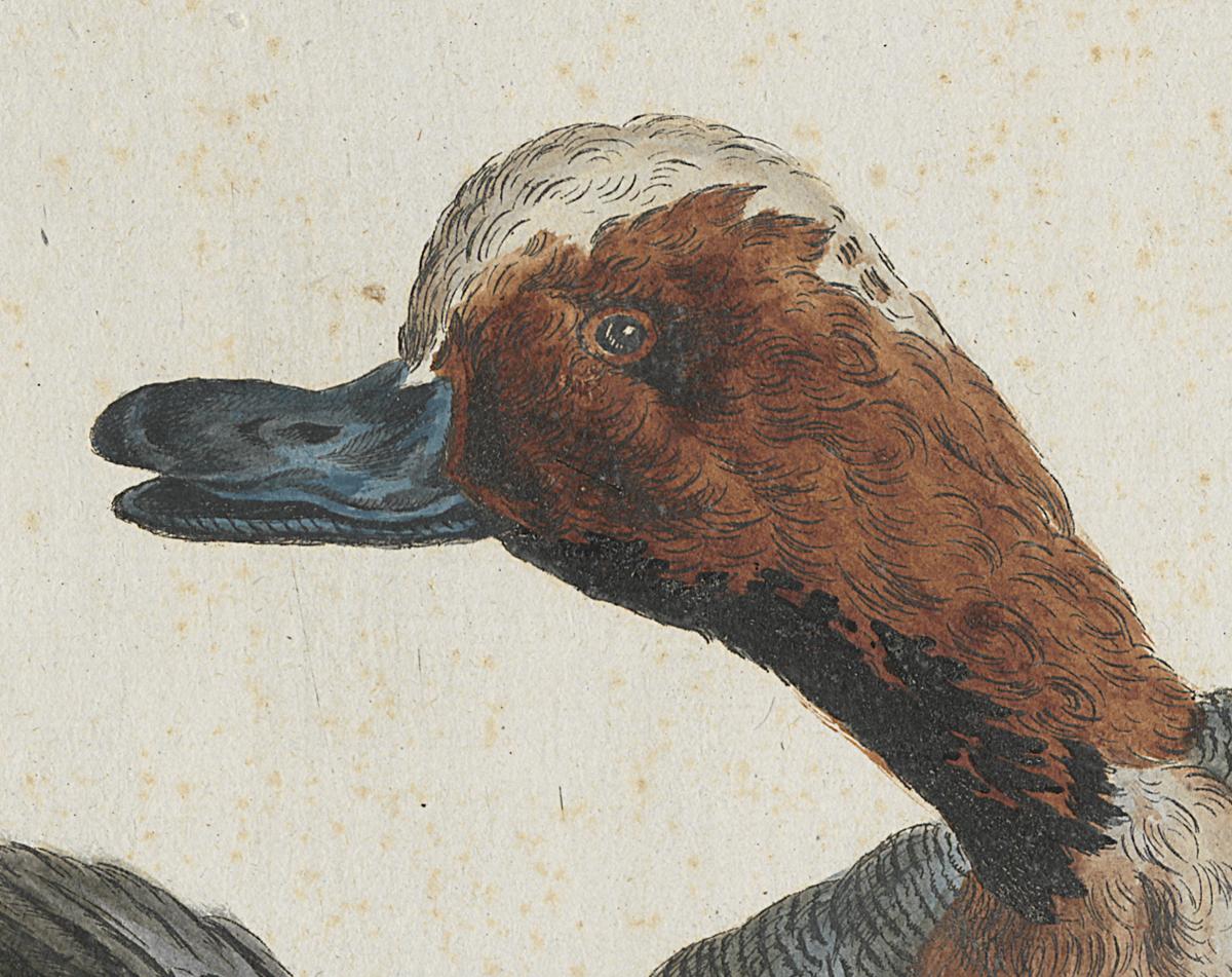 1973.0578.005 Print, Detail