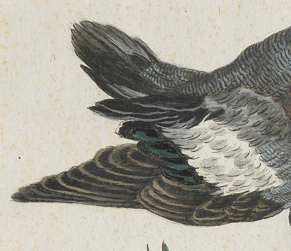 1973.0578.005 Print, Detail 2