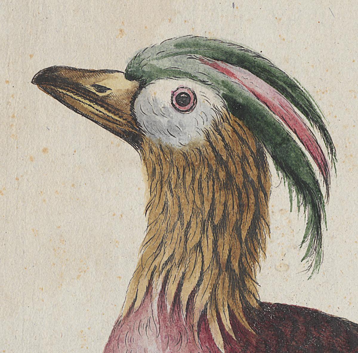 1973.0578.006 Print, Detail