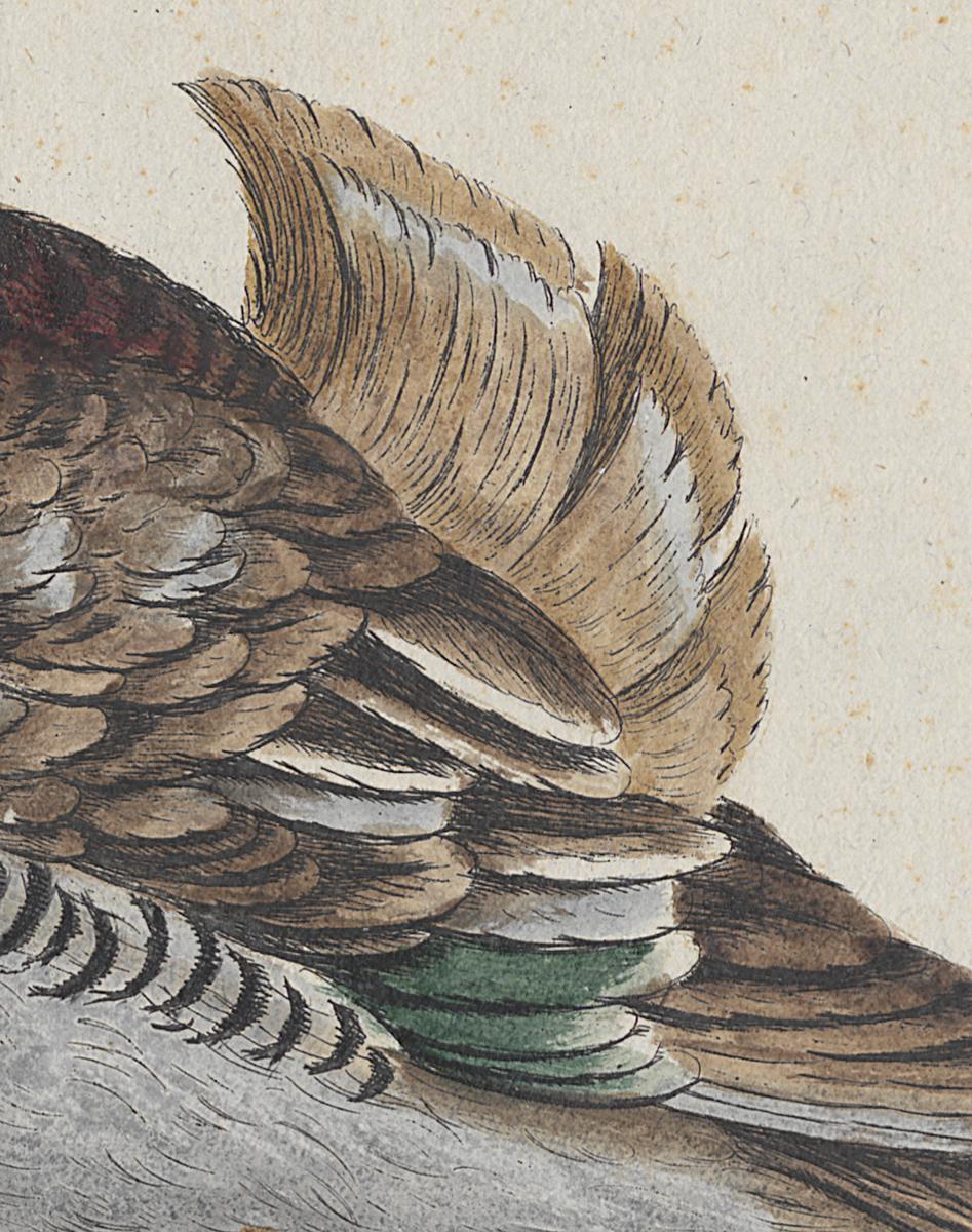 1973.0578.006 Print, Detail 2