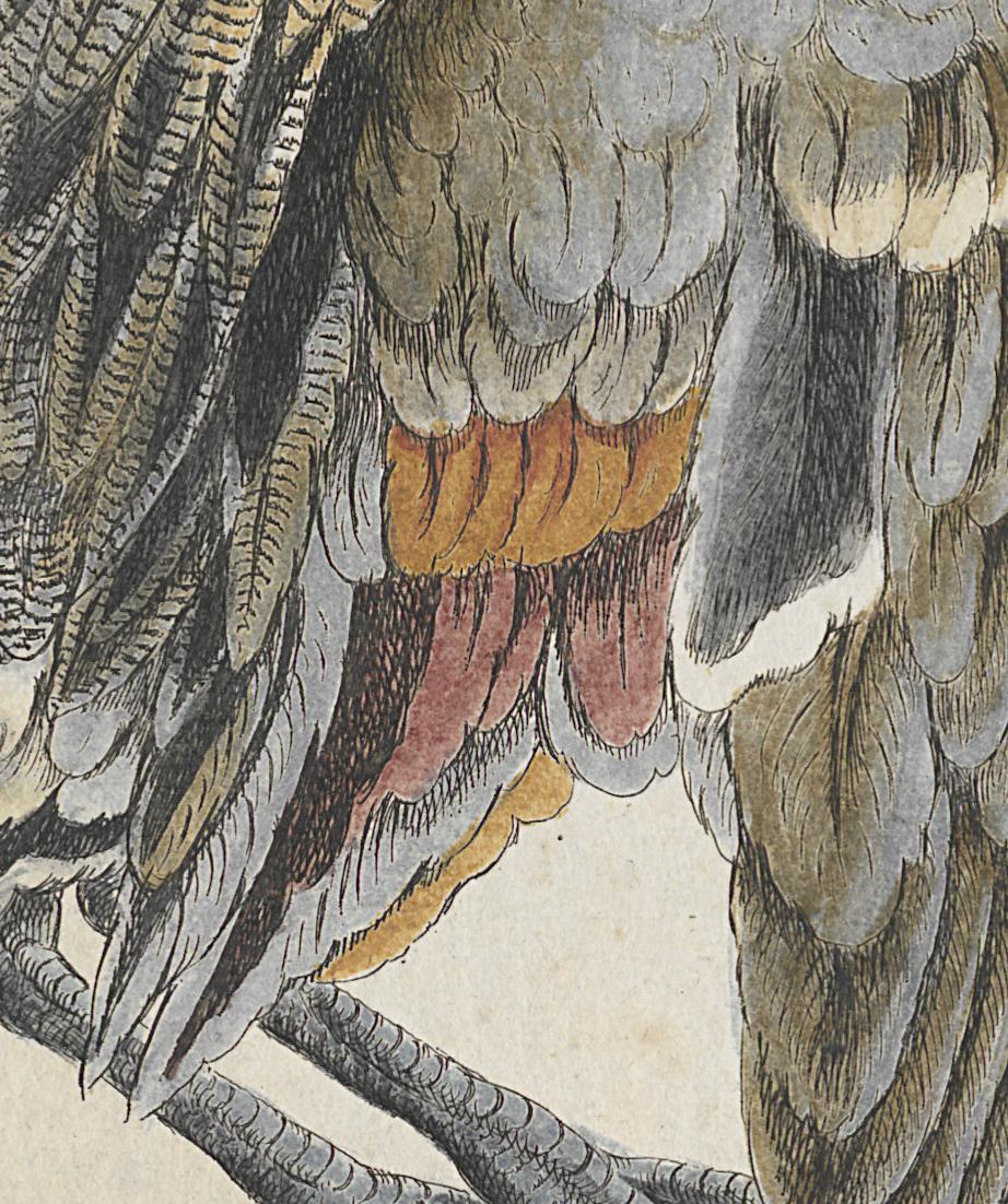 1973.0578.007 Print, Detail 2