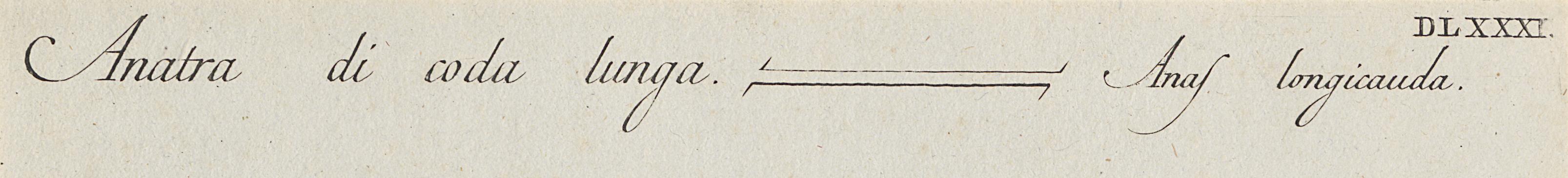 1973.0578.007 Print, Detail 4