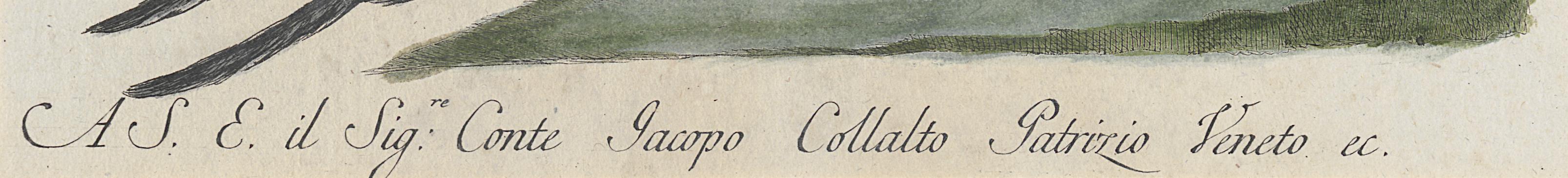 1973.0578.007 Print, Detail 5
