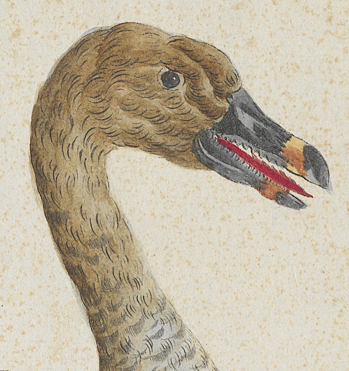 1973.0578.008 Print, Detail