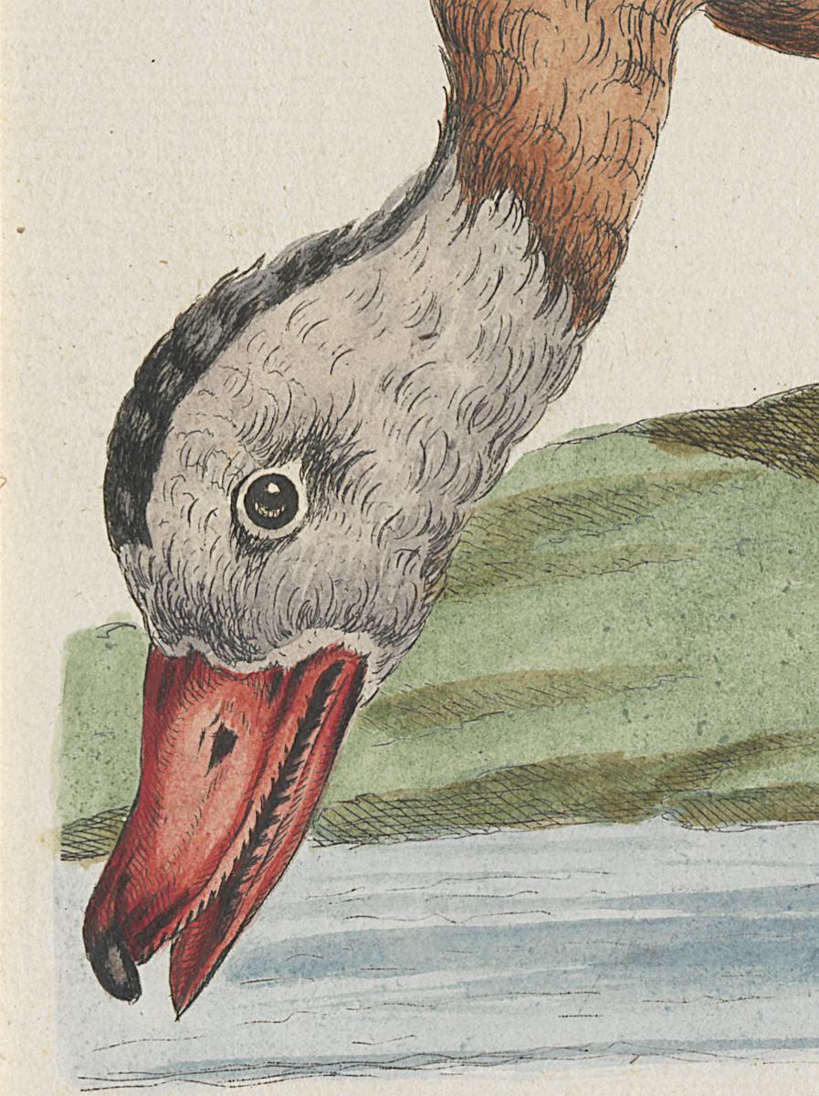 1973.0578.009 Print, Detail