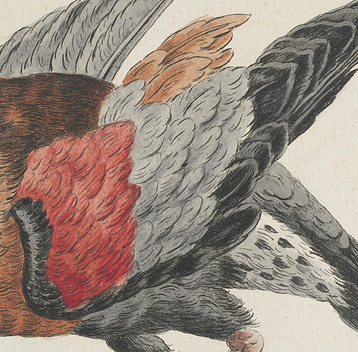 1973.0578.009 Print, Detail 2