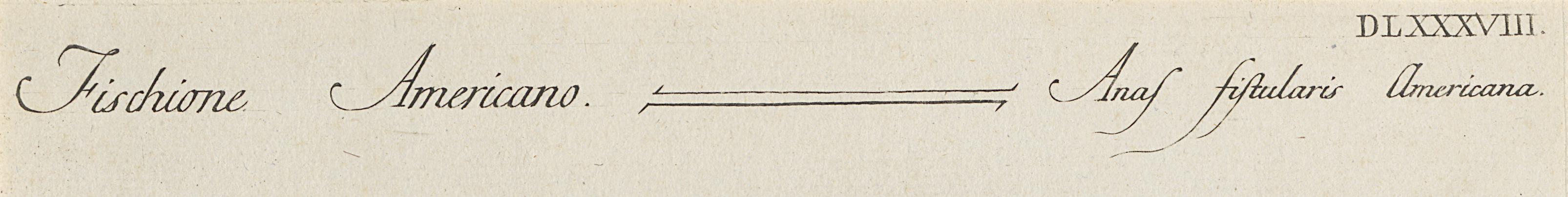 1973.0578.009 Print, Detail 3