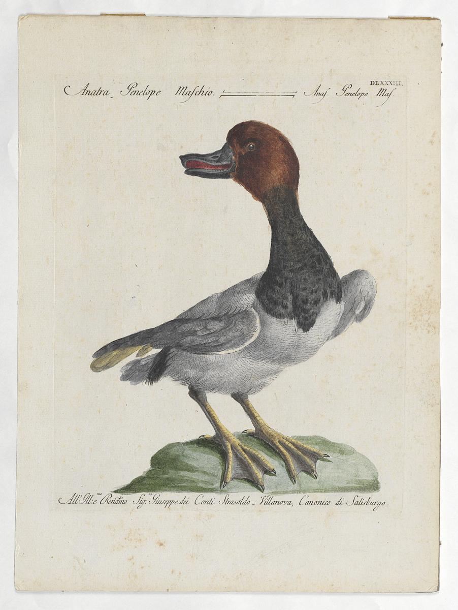 1973.0578.010 Print