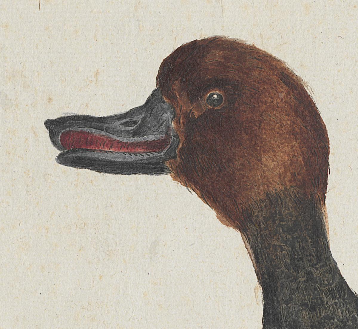 1973.0578.010 Print, Detail