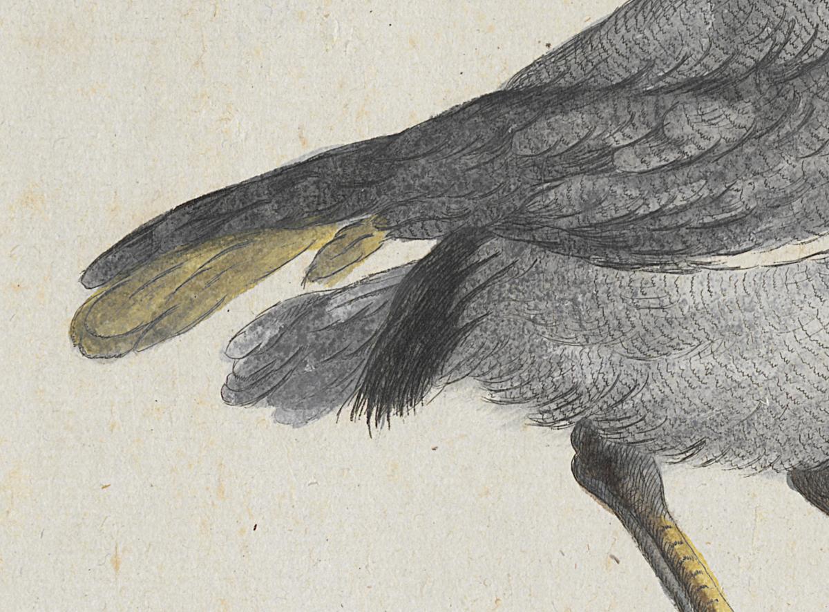 1973.0578.010 Print, Detail 2