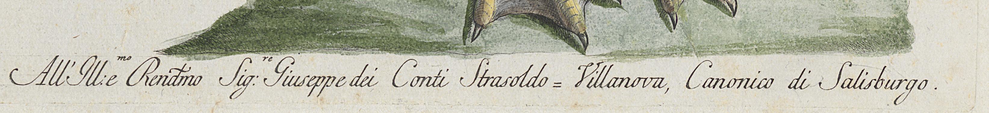 1973.0578.010 Print, Detail 4