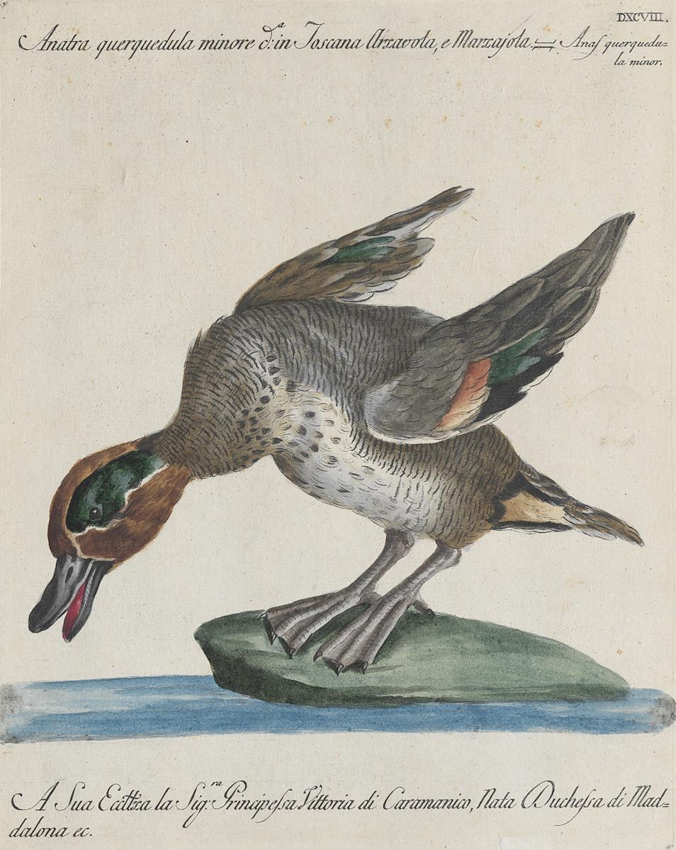 1973.0578.011 Print, View 2