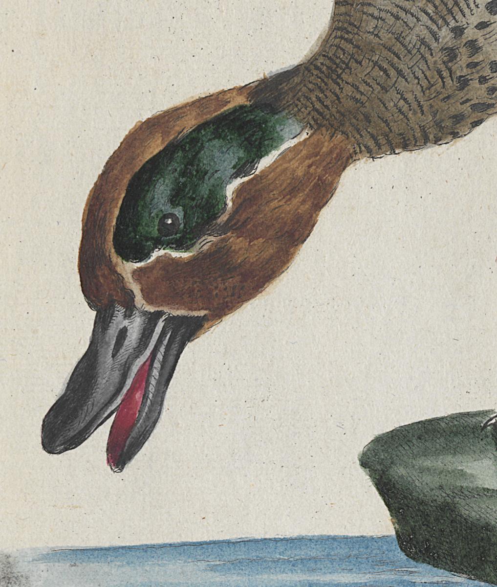 1973.0578.011 Print, Detail