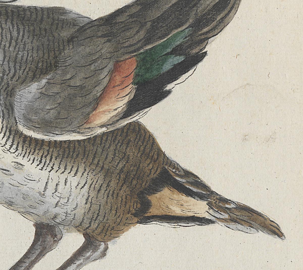 1973.0578.011 Print, Detail 2
