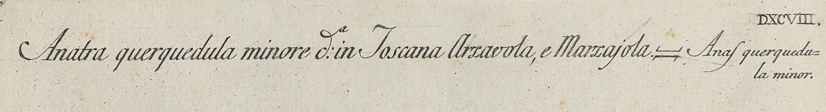 1973.0578.011 Print, Detail 3