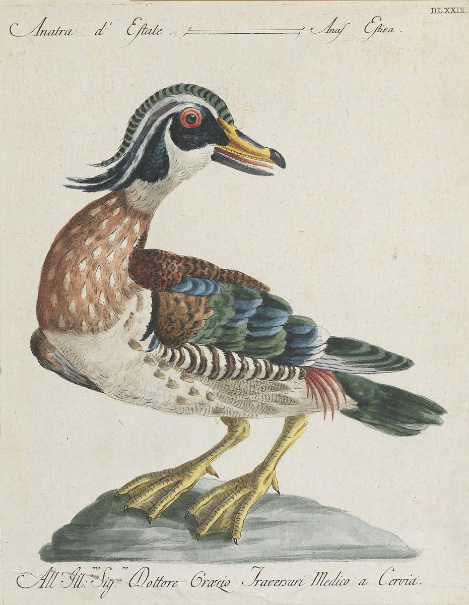 1973.0578.012 Print, View 2