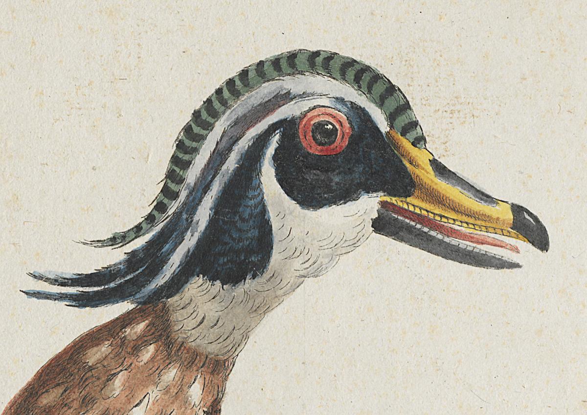 1973.0578.012 Print, Detail
