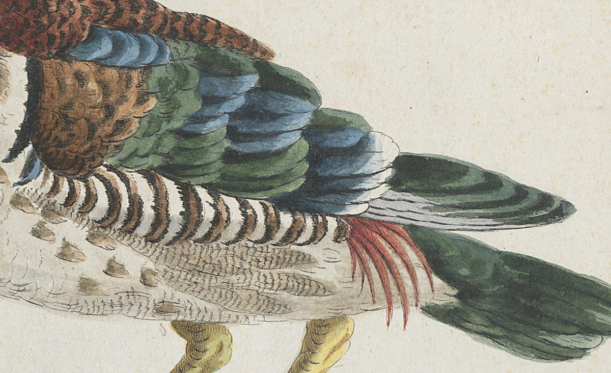 1973.0578.012 Print, Detail 2