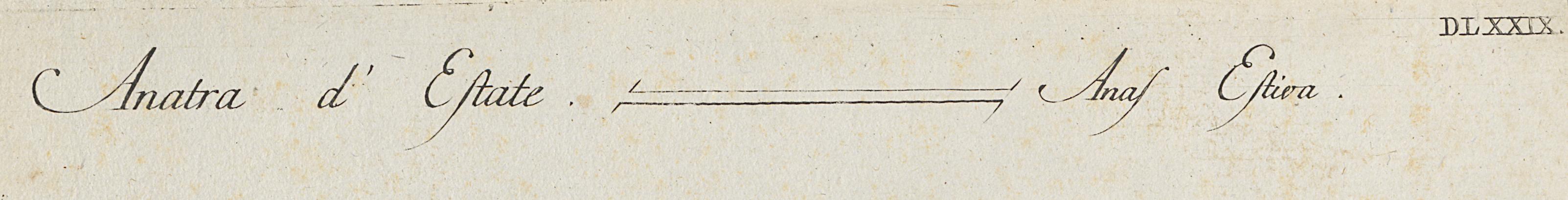 1973.0578.012 Print, Detail 3