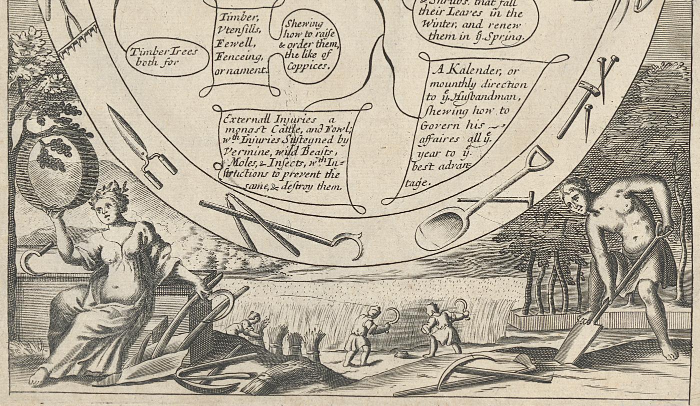 1973.0585.001 Print, Detail 5
