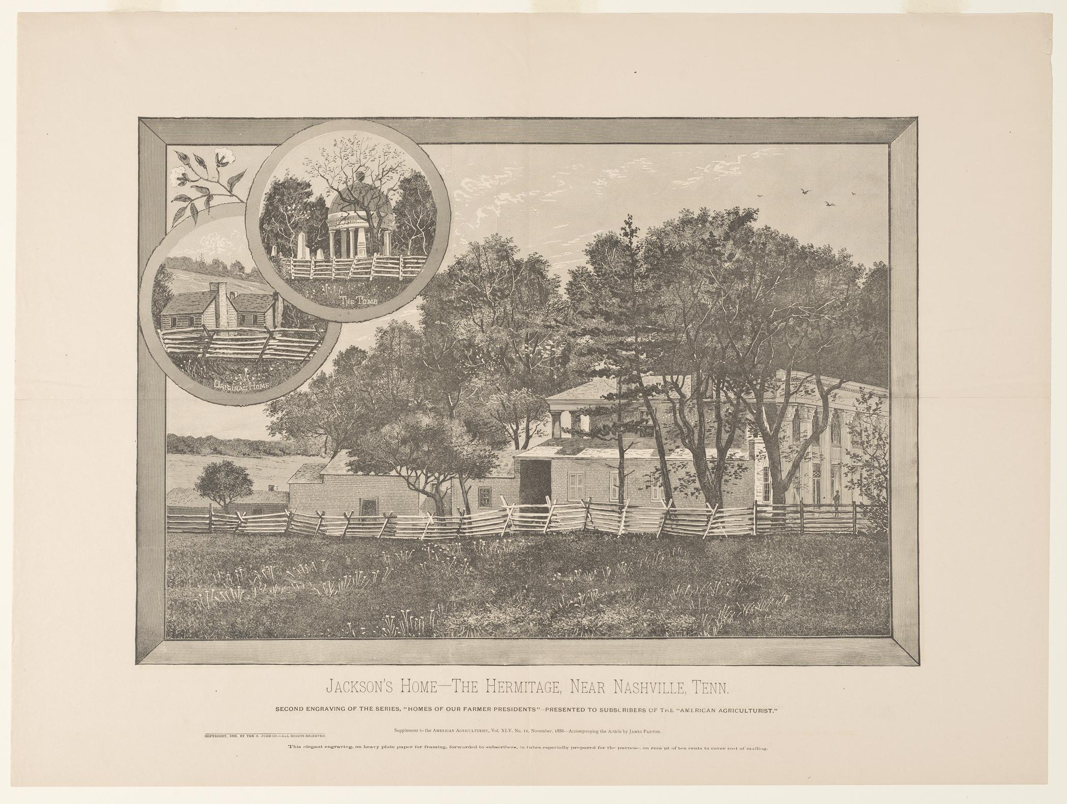 1974.0190.002 Print, view 1