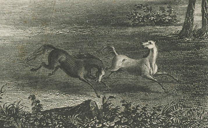 1974.0209 Print, detail 6