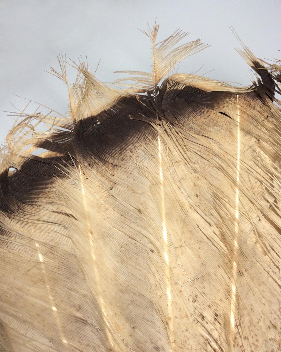 1952.0315 Fan, detail 3