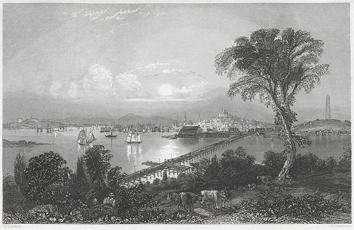 1975.0120 Print, View 2