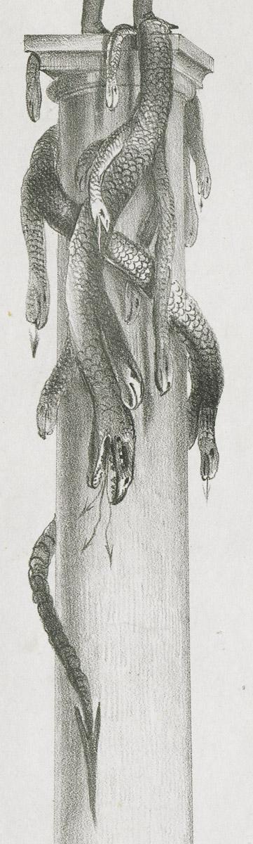 1975.0240 Print, detail 6