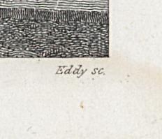 1975.0253 Print, Detail 4