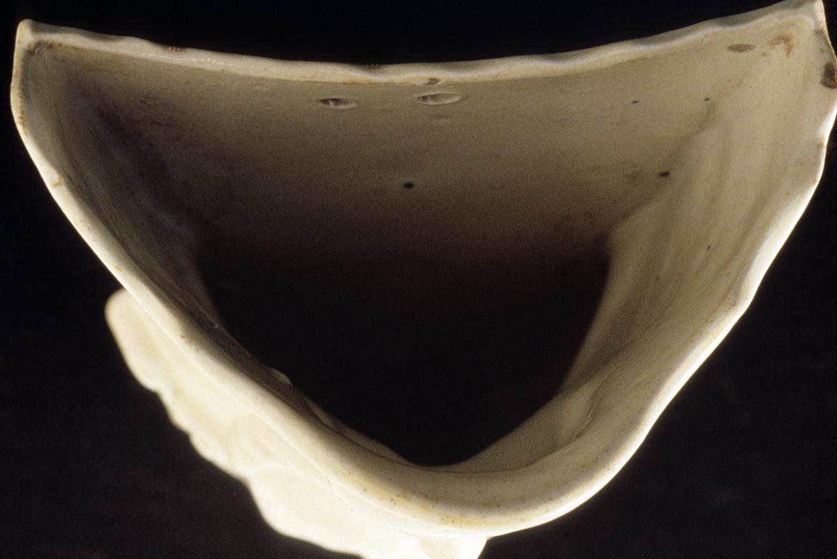 1975.0268 Flower Container, Top View