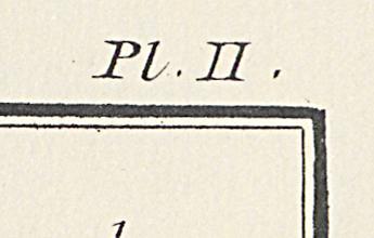 1975.0536 C Print, Detail 5