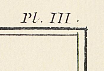1975.0536 D Print, Detail 4