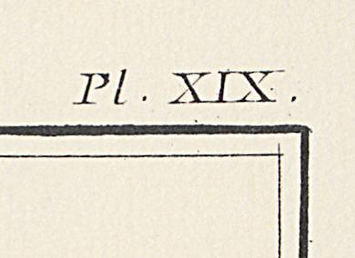 1975.0536 I Print, Detail 4