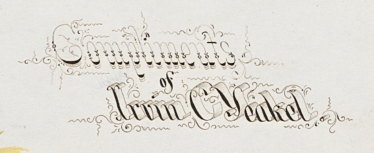 1976.0037 Card, Detail 2