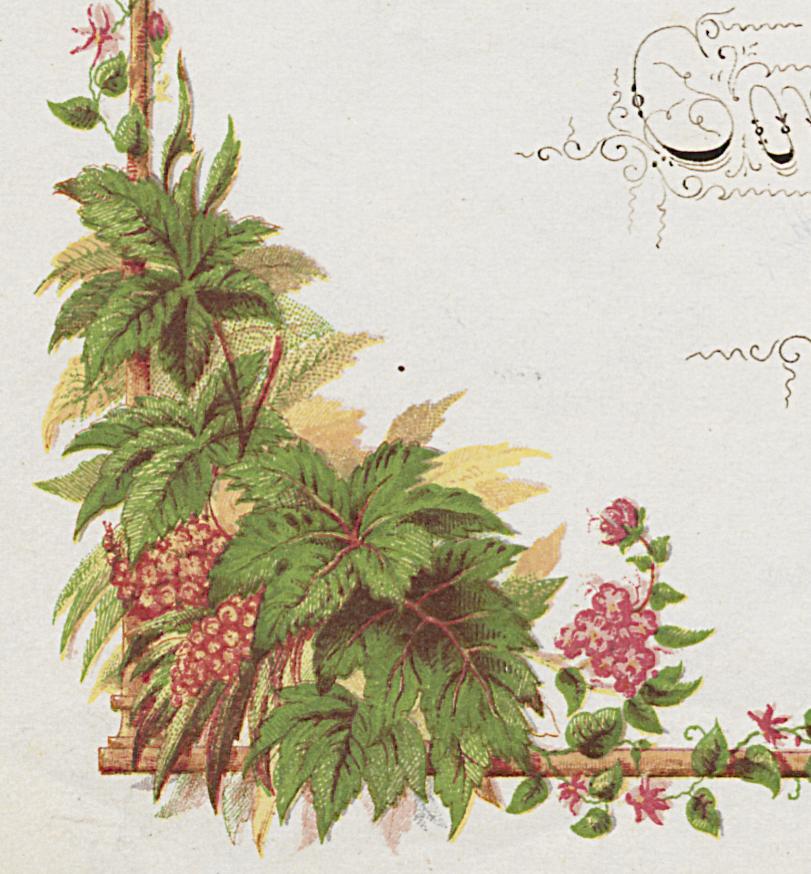 1976.0037 Card, Detail 3
