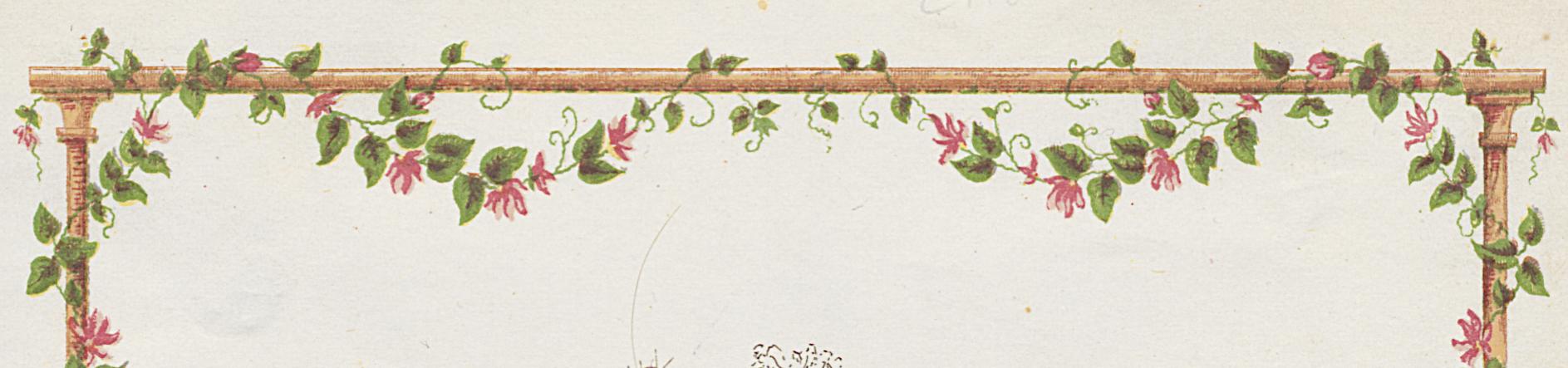 1976.0037 Card, Detail 4