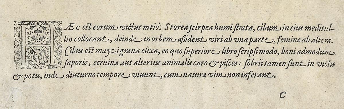 1976.0038 Print, Detail 2