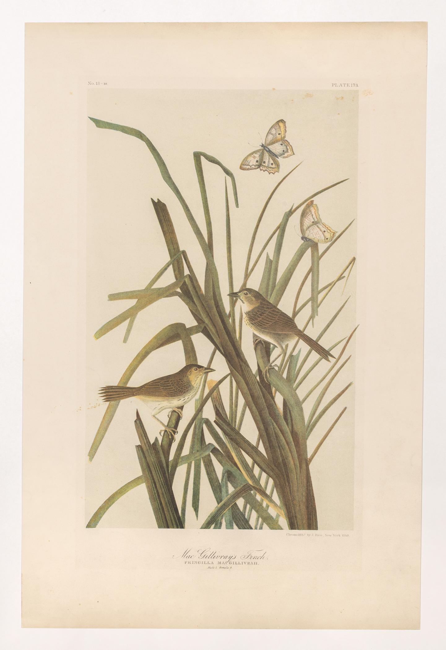 1976.0058 Print, view 1