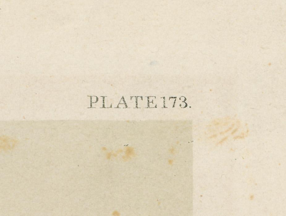 1976.0058 Print, detail 3