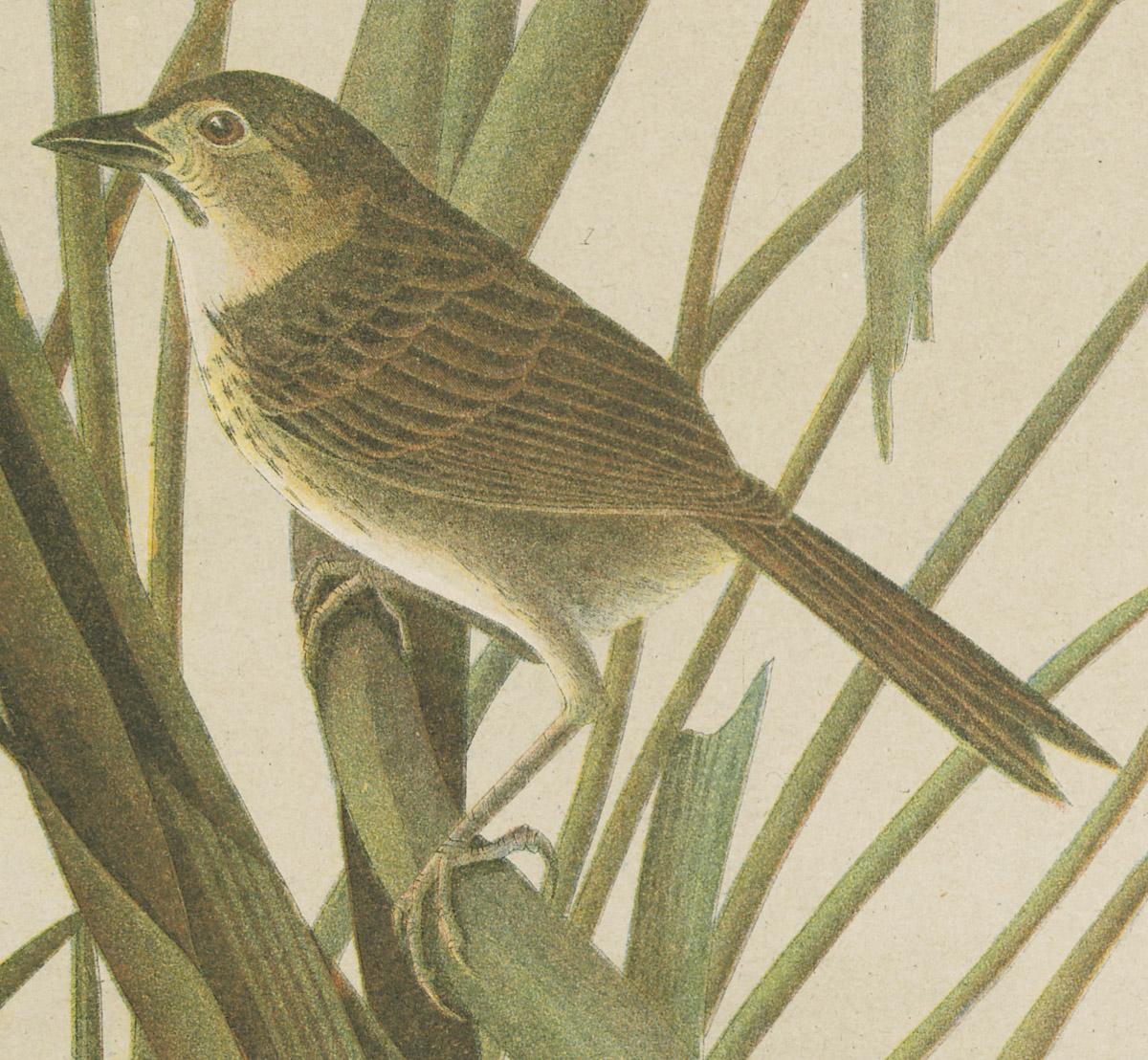 1976.0058 Print, detail 4