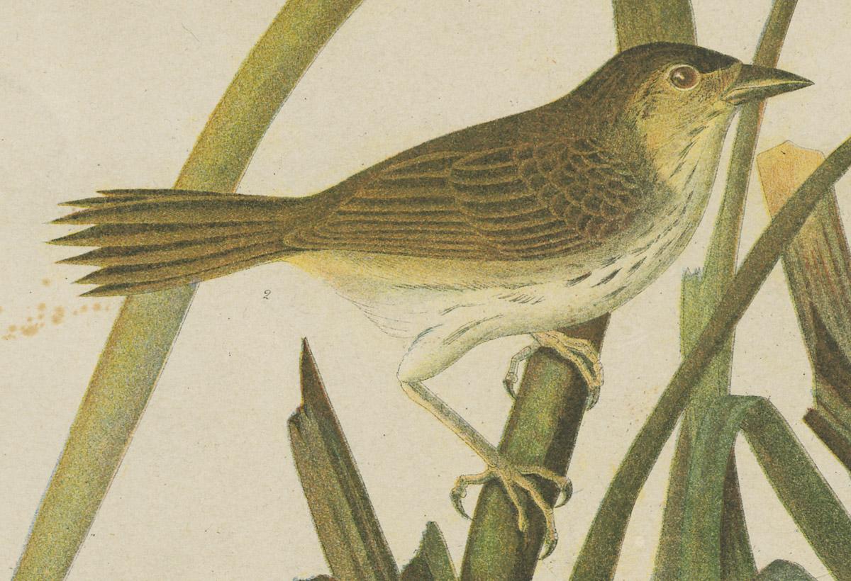 1976.0058 Print, detail 5