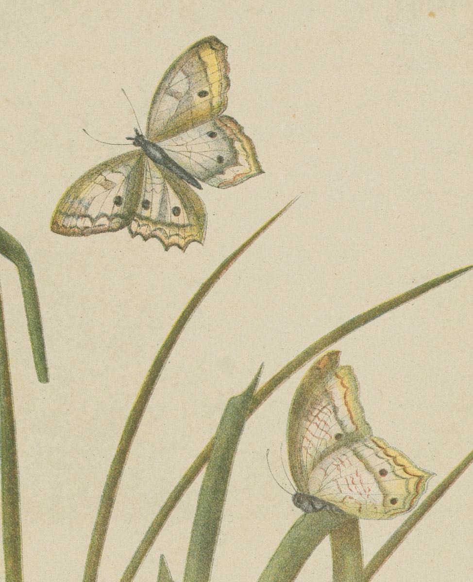 1976.0058 Print, detail 6
