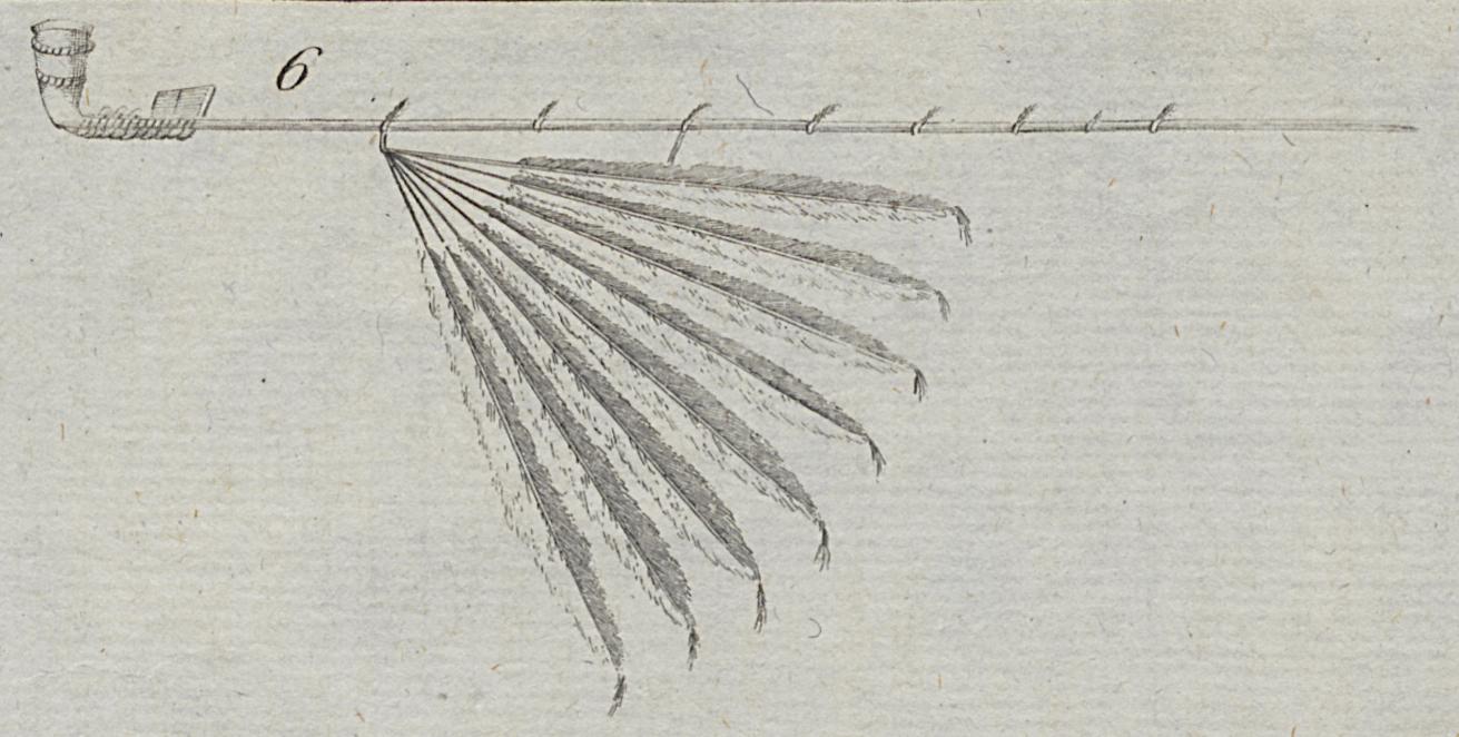 1976.0063 Print, Detail 6