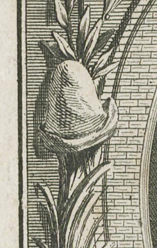 1976.0087.002 Print, detail 4