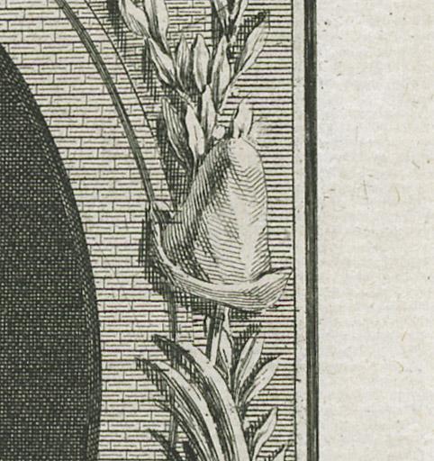 1976.0087.003 Print, detail 4